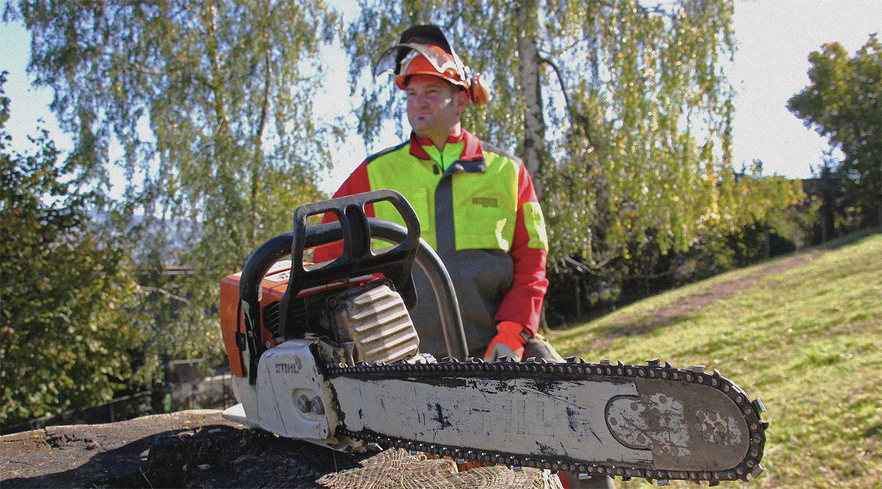 Von A wie «Anzünder» bis Z wie «Zukunftsbäume»
